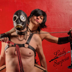 LadySurprise avatar